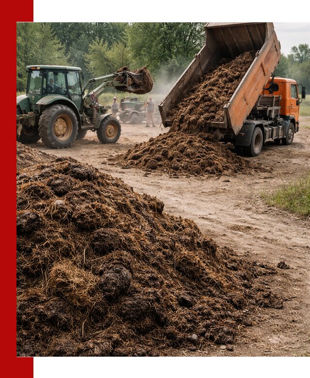 Доставка навоза самосвалами в Балахне для сельхозпотребностей